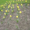 image008
